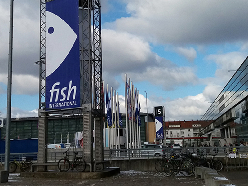 Frischer Fisch neu gedacht!